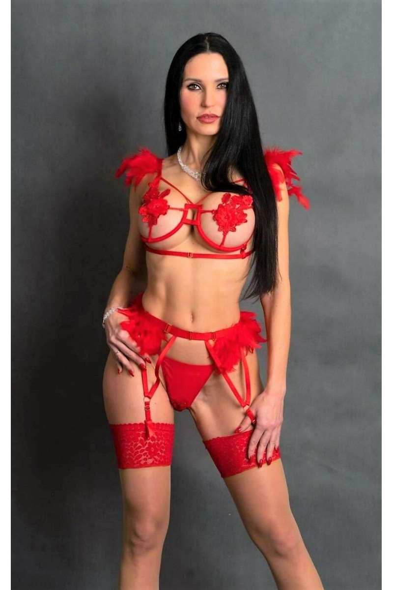 Red lingerie with garter belt and strings